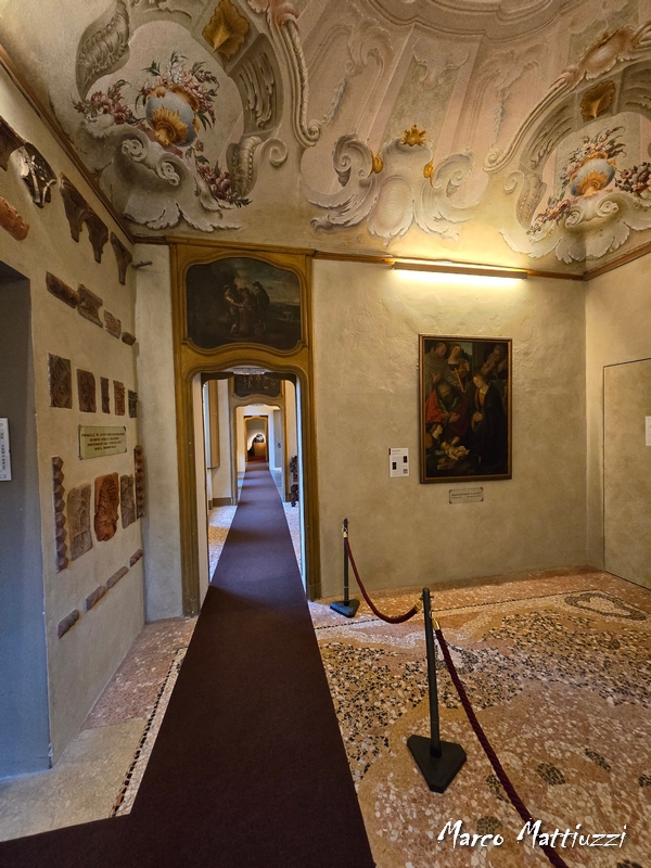 Museo Leone - Vercelli