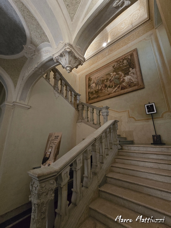 Museo Leone - Vercelli