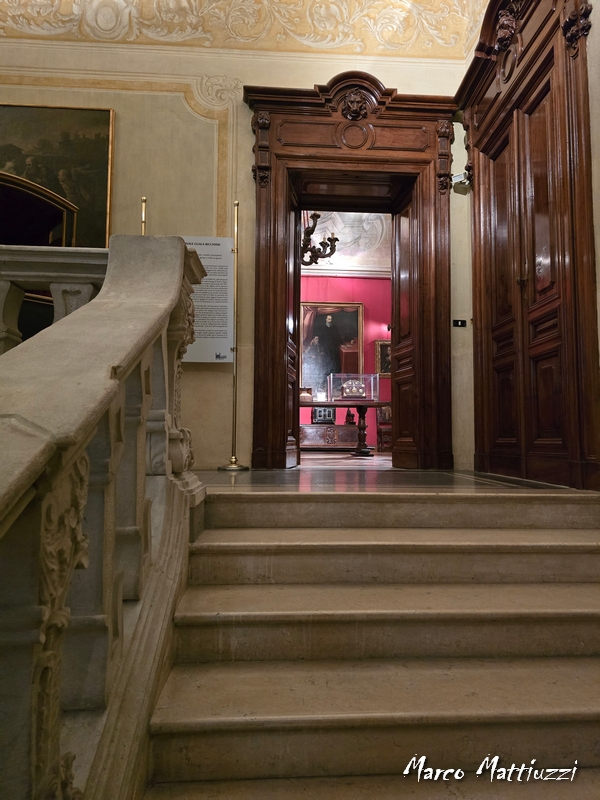 Museo Leone - Vercelli