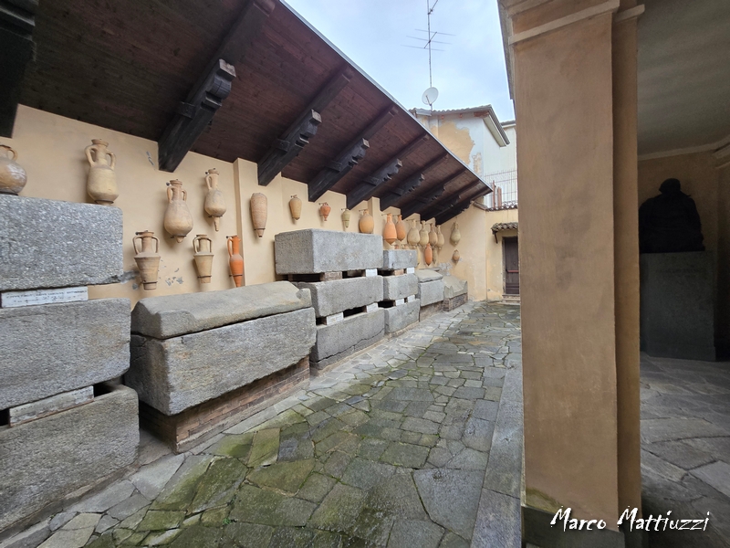 Museo Leone - Vercelli